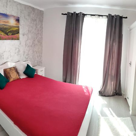 Apartament Gabriela Baia Mare Exteriör bild